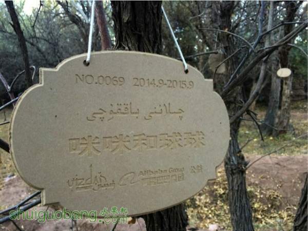 121229tezeuud0eaq8m1ma.jpg