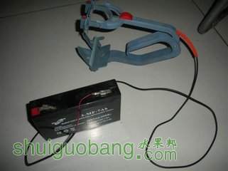 t0125c6ccda756c73a7.jpg
