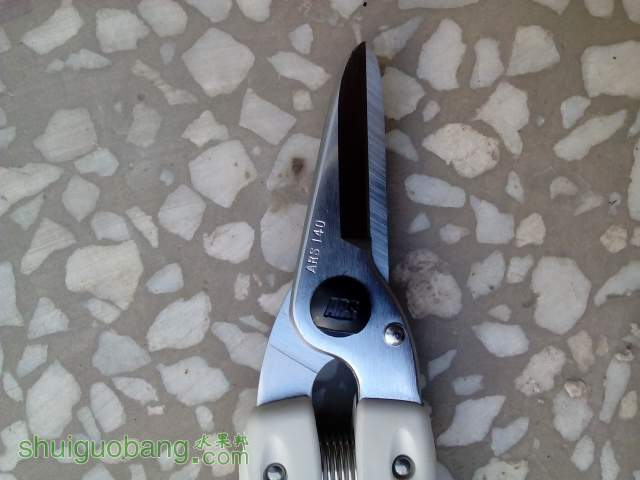 210353rqzjf9xcrx4olqrf.jpg