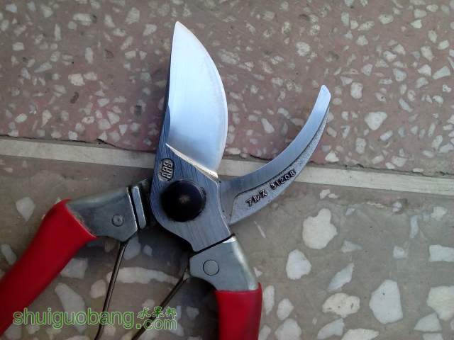 210528pnkf5uwu884t58ur.jpg