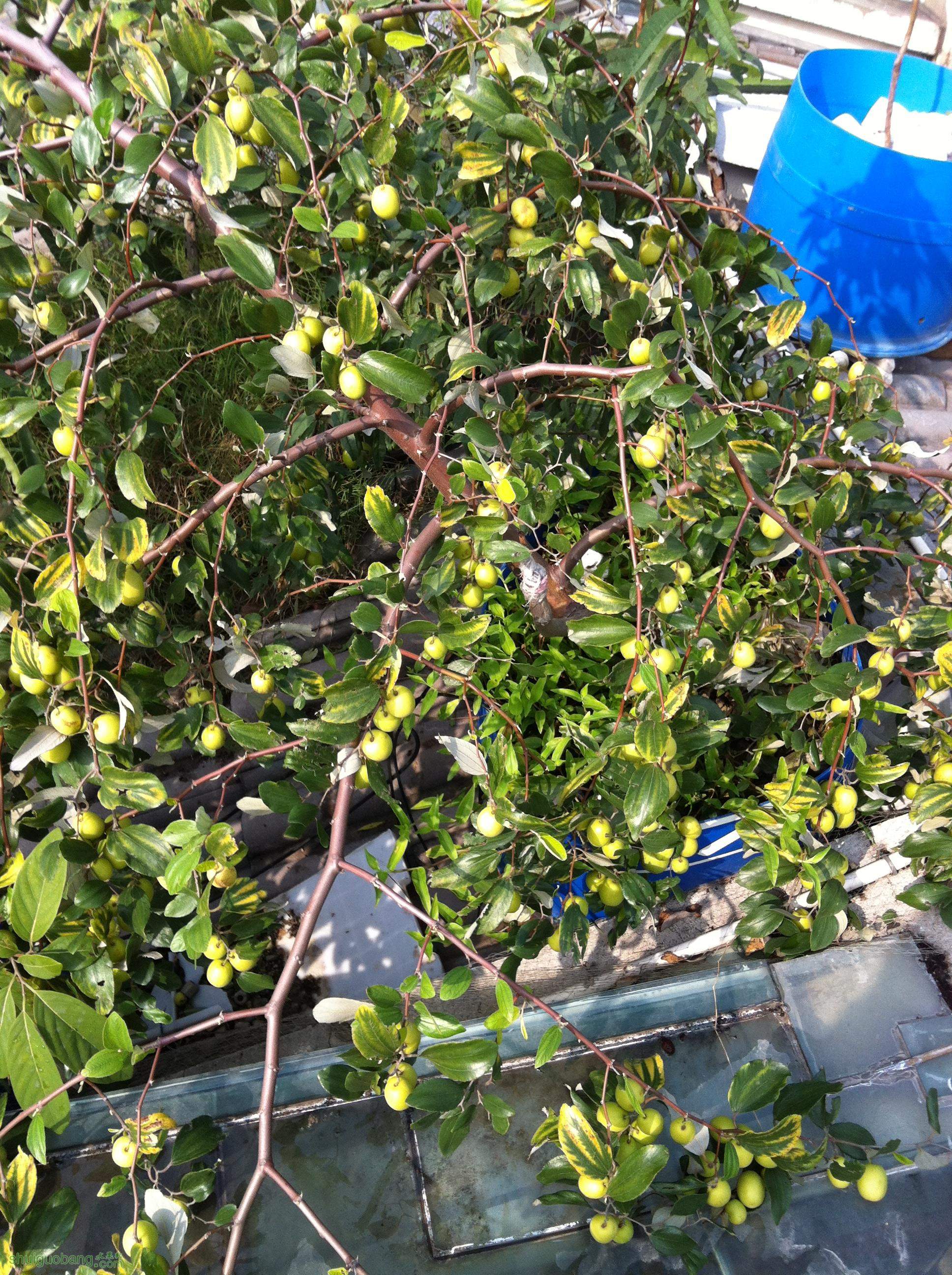 2014-12-28 115726.jpg