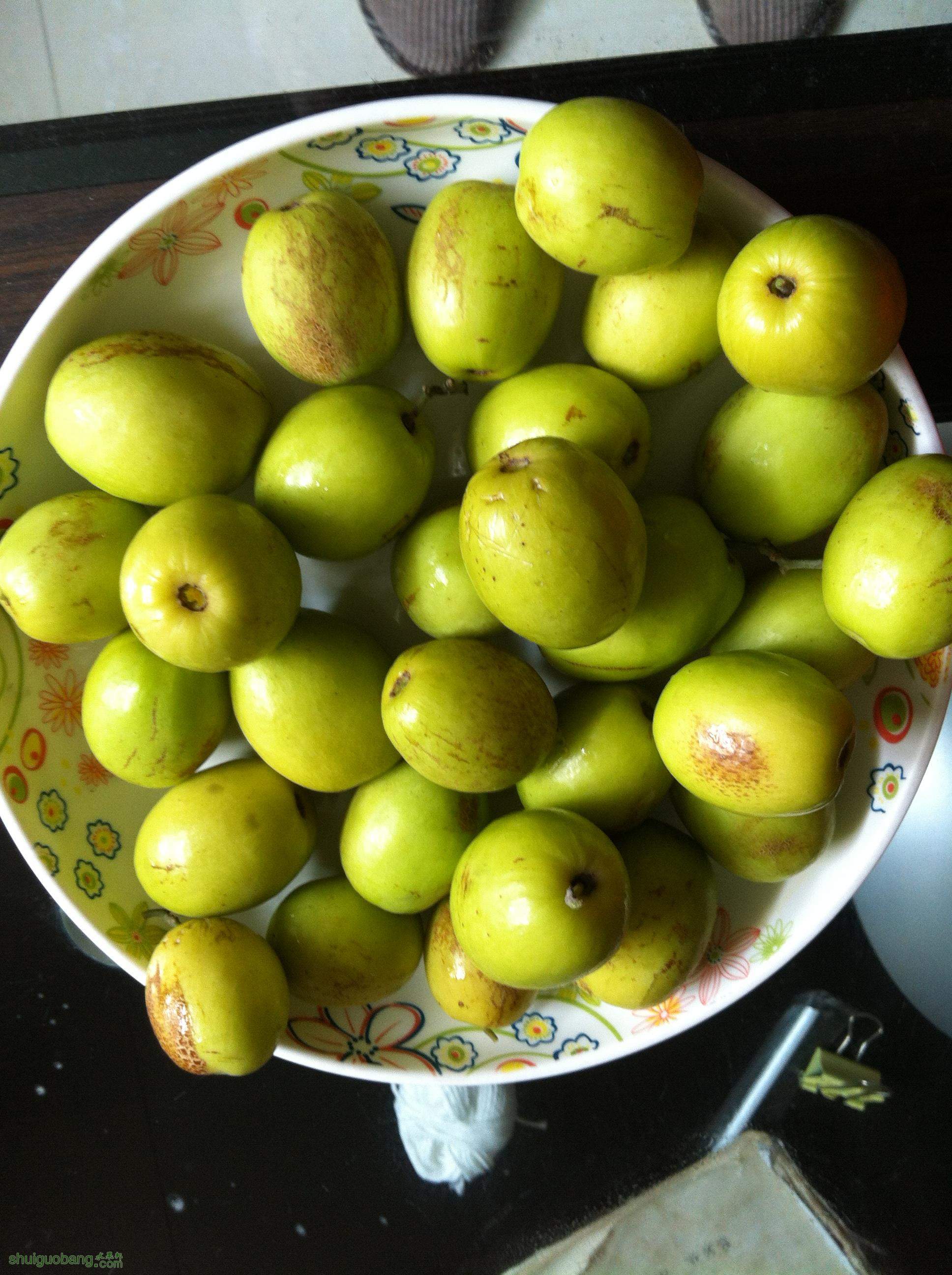 2014-12-28 120103.jpg