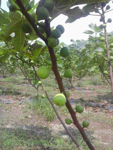 20140924_133714_����_����.jpg