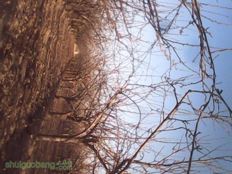 104308ma1cabooffotwjtc.jpg