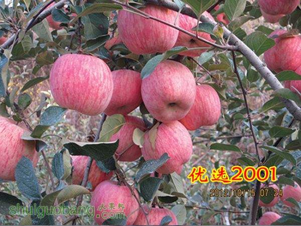 20131119153739259.jpg