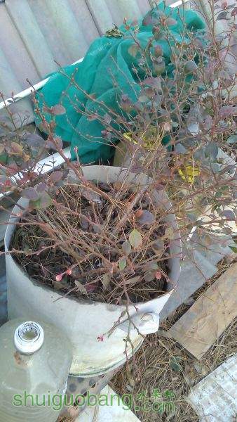 IMG_20150102_161608.jpg
