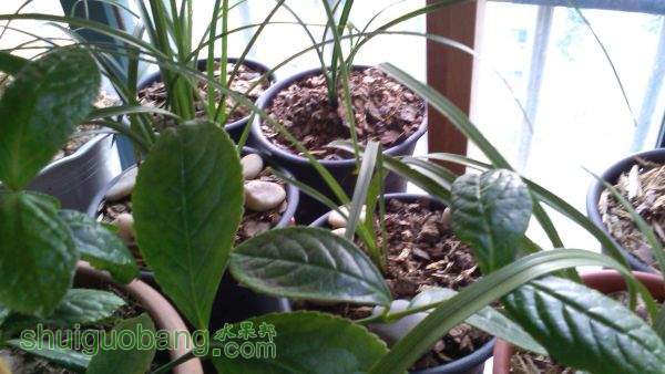 IMG_20150102_162327.jpg