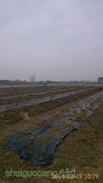 IMG_20141219_102938.jpg