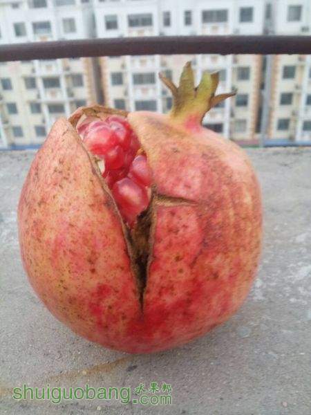 ժѹ2.jpg