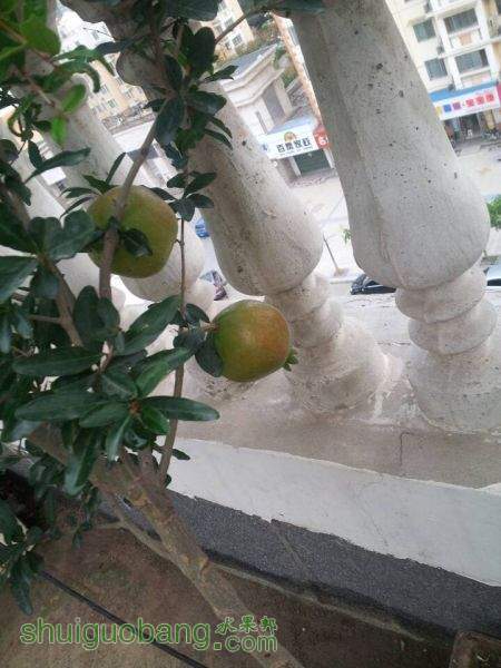 Ƥ1.jpg
