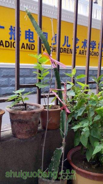 IMG_20140925_074851.jpg
