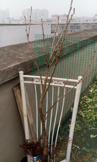 084748p1lwgtbxl8vgvvgt.jpg