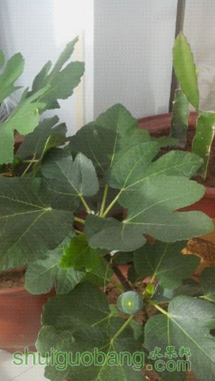 UC_Photo_007.jpg