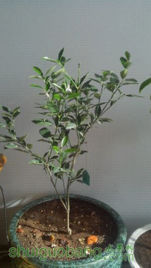 UC_Photo_010.jpg