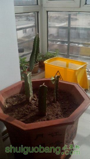 UC_Photo_012.jpg