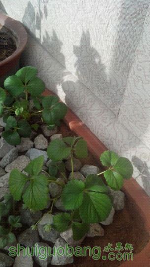 UC_Photo_013.jpg