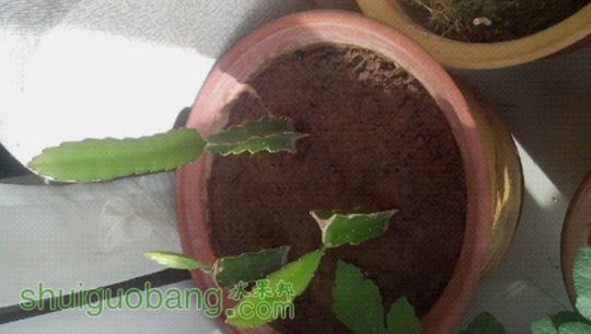 UC_Photo_014.jpg