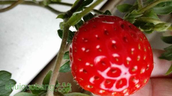 112012faw0nwm44jcczwnc.jpg