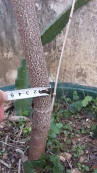 ͼ3ͷ2CM