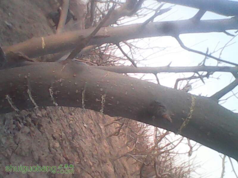 150157duf66pdrwvaadeiw.jpg