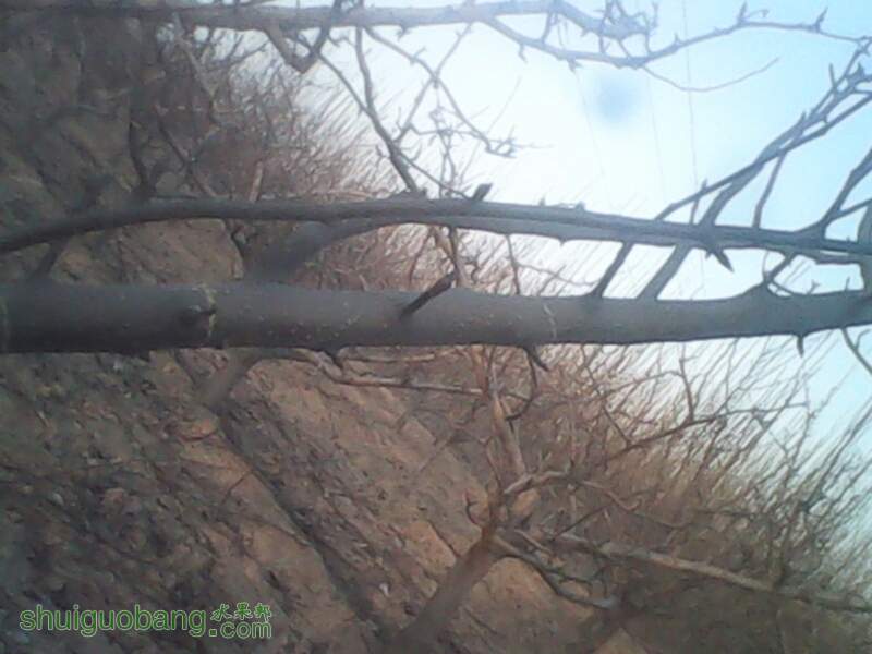 150341pt3sscvphzp71sgw.jpg