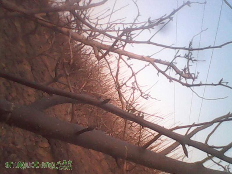 150341whajea8zeh0x0dhb.jpg