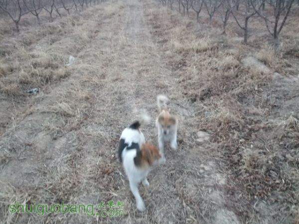 ���������Ρ�������Ƭ 032.jpg