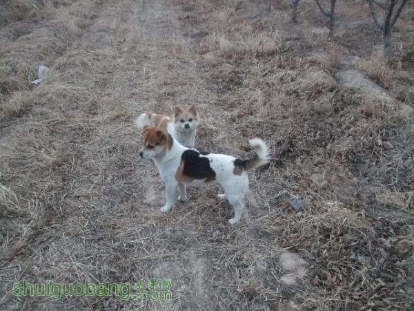 ���������Ρ�������Ƭ 031.jpg