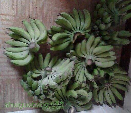 QQͼƬ20150115185507.jpg