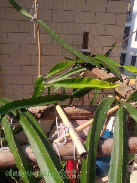 IMG20141210049.jpg