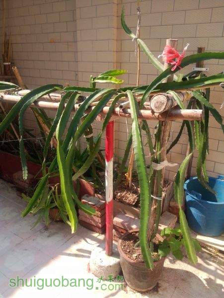 IMG20141210055.jpg