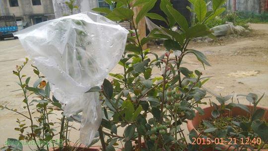 130638hum18jmdzxumjm1d.jpg