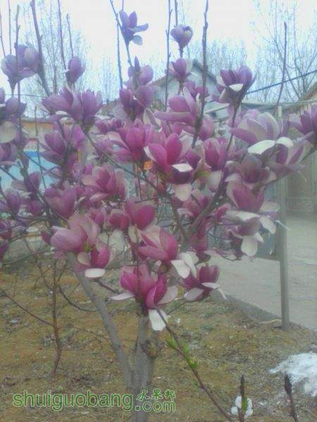 IMG_20140328_175333.jpg