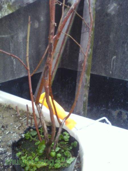 IMG0123173700.jpg