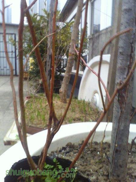 IMG0123173701.jpg