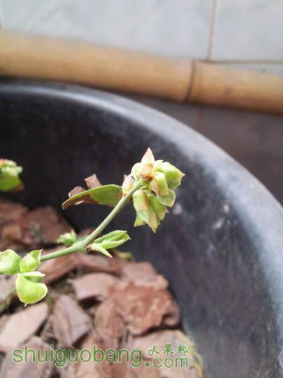 20150124_130926.jpg