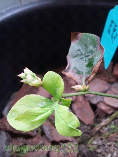 20150124_131034.jpg
