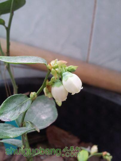 20150124_130909.jpg