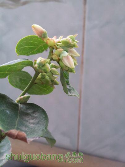 20150124_130945.jpg