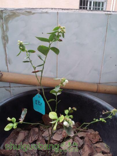 20150124_131149.jpg
