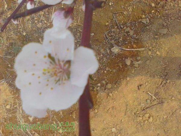 IMG_20140329_142031.jpg