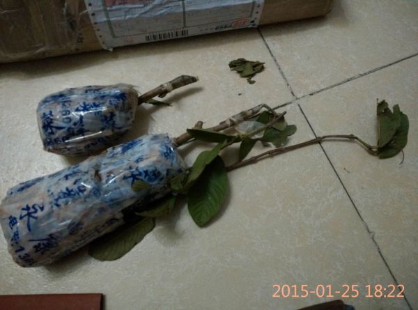 С IMG_20150125_182237.jpg