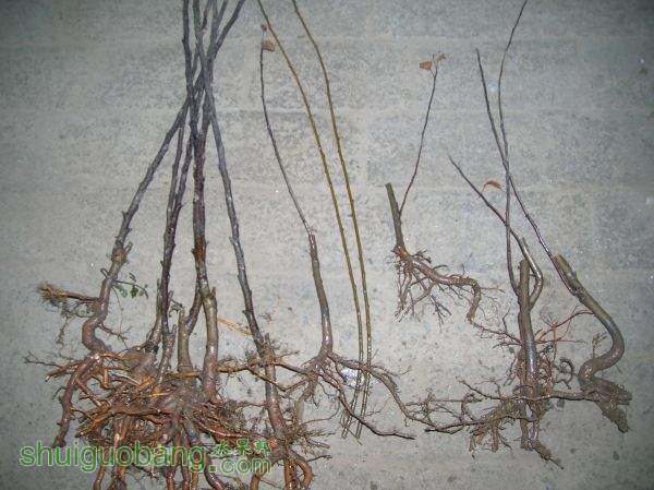DSCN0170.JPG