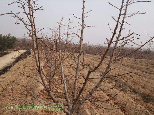 ѿ缰2013궬Ƭ 003.jpg