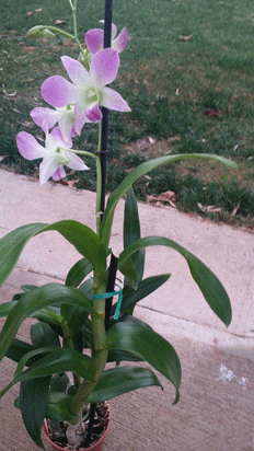 20150127_171359a.gif