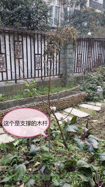 20150125_160655_ͼ.jpg