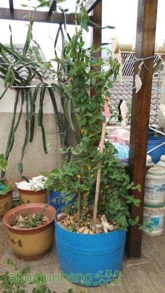 IMG_20150125_075944.jpg
