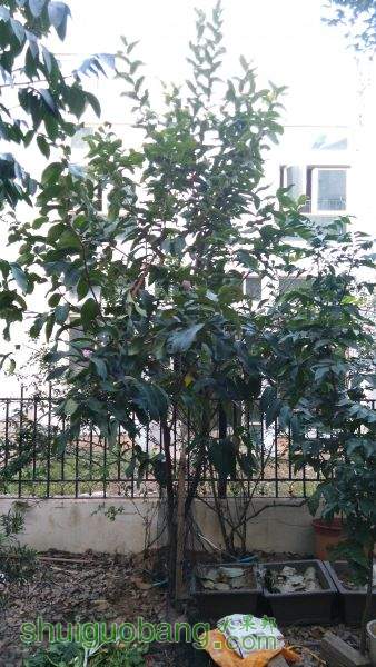 IMG_20150122_074748.jpg