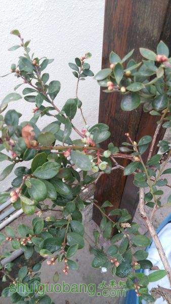 IMG_20150129_073651.jpg