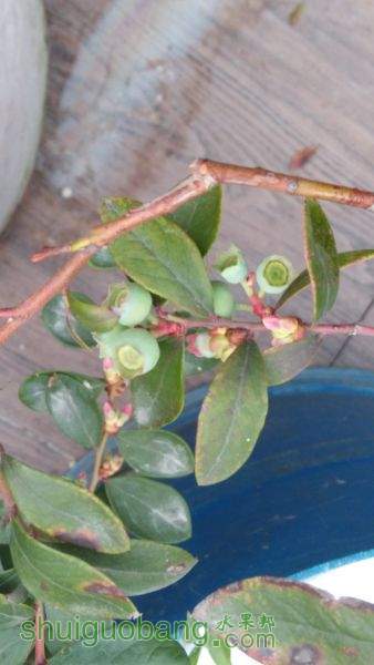 IMG_20150129_074116.jpg